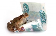 Эксперимент с покупным трафом