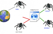 Создаем файл Robots.txt и карту сайта в XML