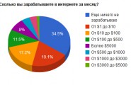 Сколько зарабатывают в месяц посетители 9SEO.RU